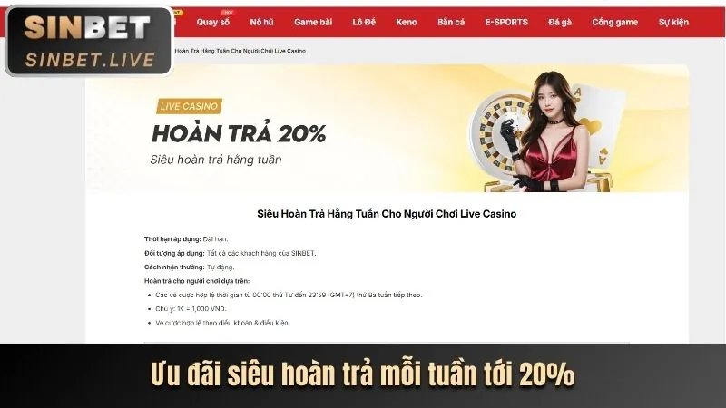 Minh họa chính sách cookie và cài đặt quyền riêng tư của ngoi sao.net 2018